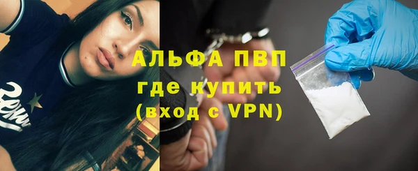 индика Протвино