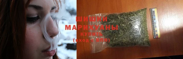 индика Протвино