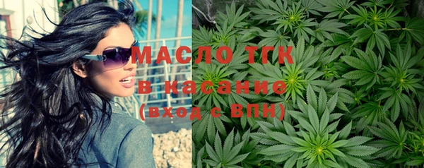 индика Протвино