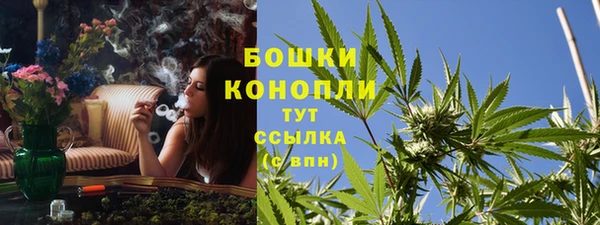эйфоретик Пролетарск