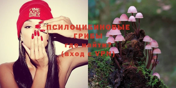 spice Нестеровская