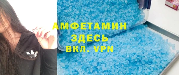 индика Протвино