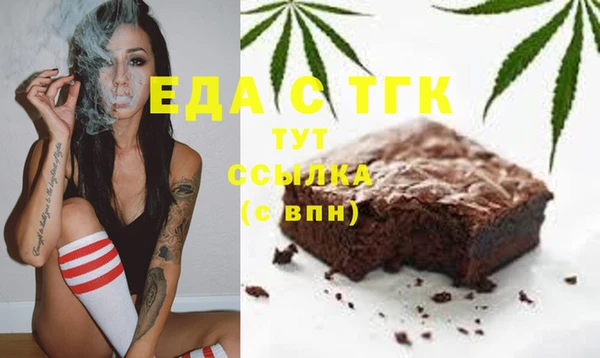 индика Протвино