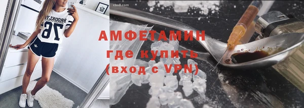 индика Протвино
