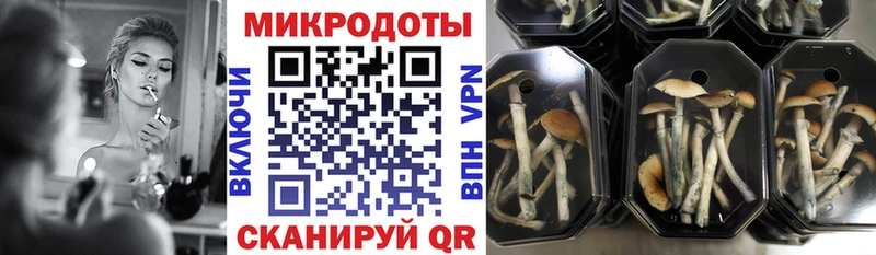 Псилоцибиновые грибы прущие грибы  Баймак 
